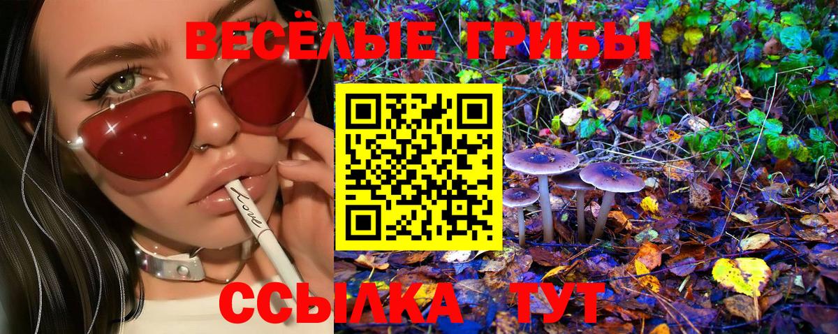 Галлюциногенные грибы Psilocybine cubensis Щёлково